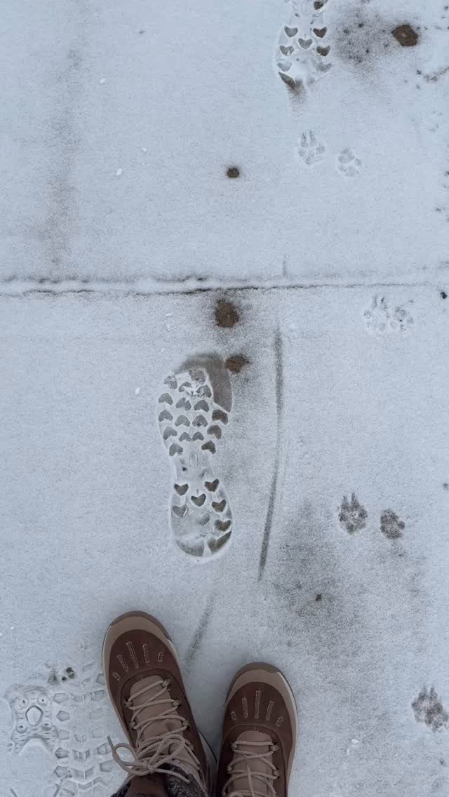 Trying to have fun with this snowy weather this morning.